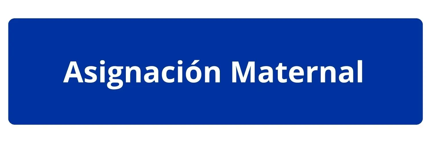 programa social chile para madres y embarazadas