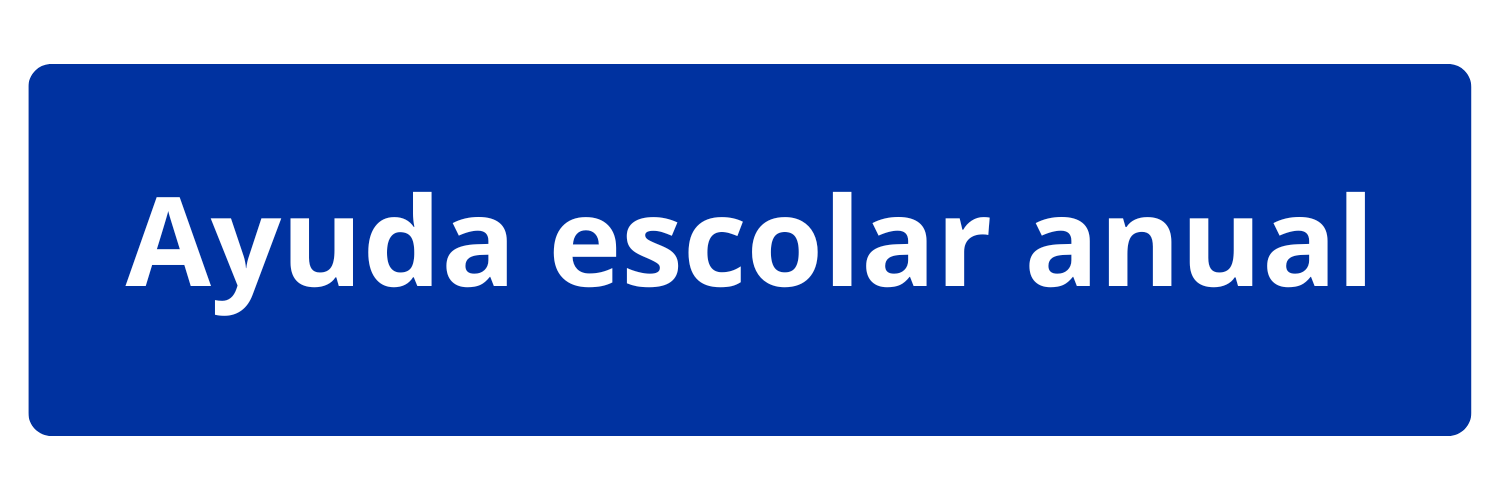 programa escolar anual chile