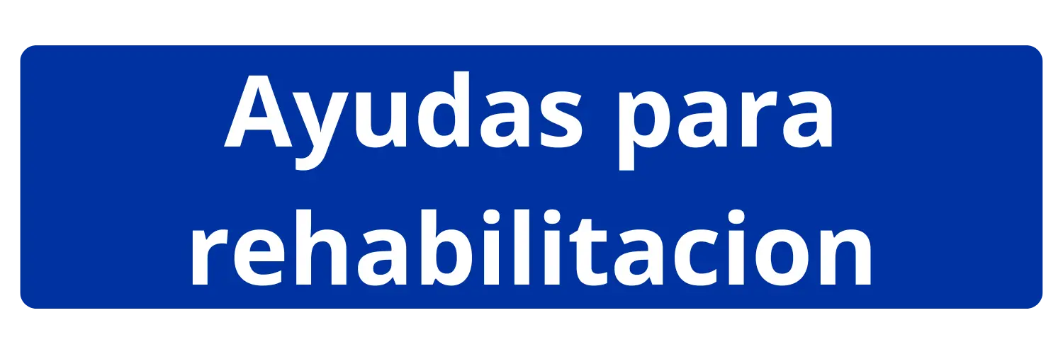 subsidios rehabilitacion